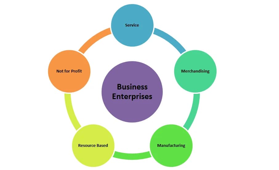 Business Type